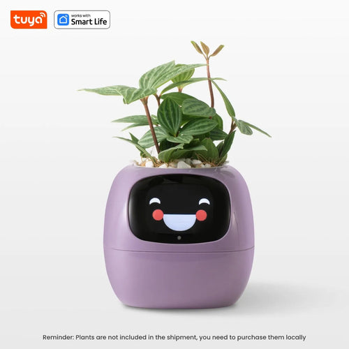 Plantasy - AI Smart Planter